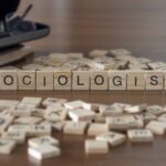 What Can I Do with a Sociology Degree?